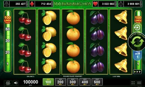 100 Burning Hot Slot