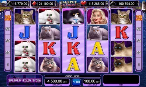 100 Cats слот онлайн