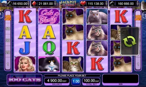 100 котки слот