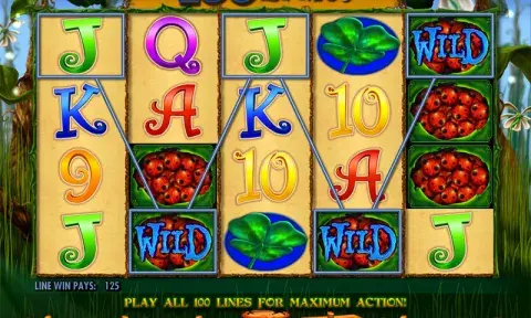 100 Ladies Slot