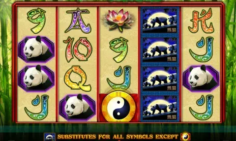 100 Pandas ротативка