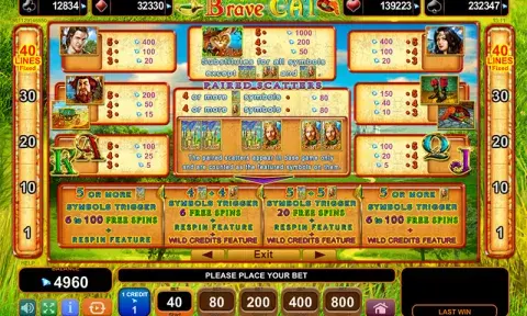 Brave Cat Slot Game