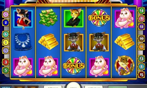 Cats and Cash слот