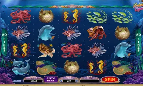Dolphin Quest Slot