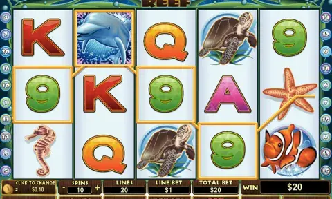 Dolphin Reef Slot Game