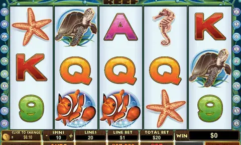 Dolphin Reef Slot Free
