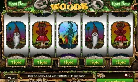 Enchanted Woods Slot