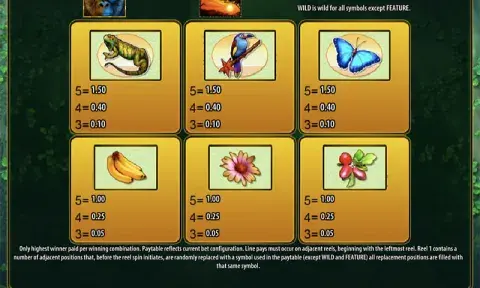 Gorilla Chief 2 Slot Paytable