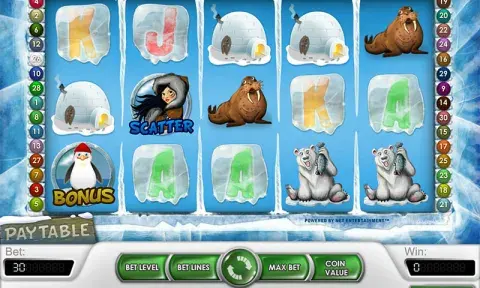 Icy Wonders Slot