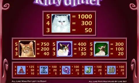 Котешки блясък слот игра
