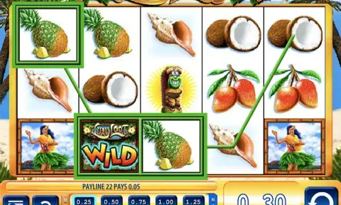 Luau Loot Slot Game