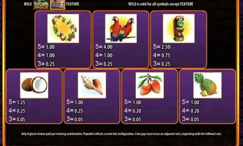 Luau Loot Slot Paytable