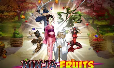 Ninja Fruits Slot