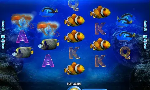 Pacific Paradise Slot