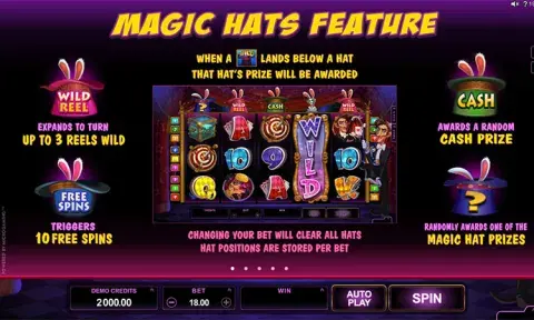 Rabbit in the Hat Slot Online