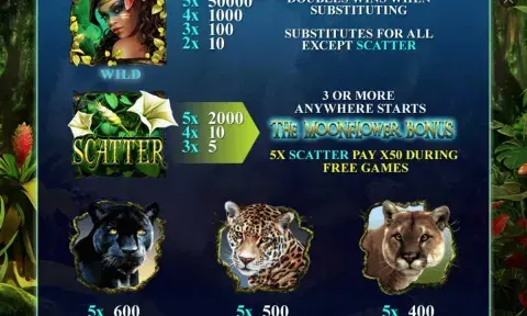 Secrets of the Amazon Slot Game