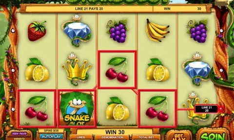 Snake Slot Game