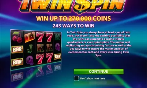 Twin Spin Slot