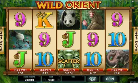 Wild Orient Slot